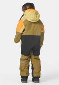 Helly Hansen RIDER - Skipak - lynx