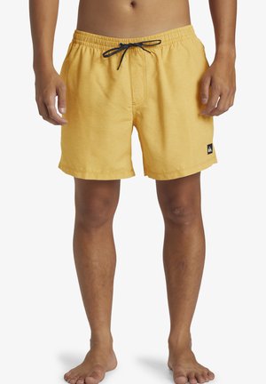 Quiksilver EVERYDAY DELUXE VOLLEY - Badeshorts - njz