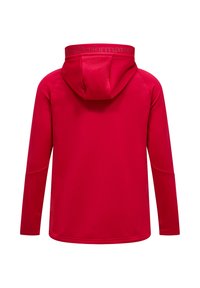 Rode hoodie met een gladde textuur, met een afgedrukt logo op de nek achteraan en lange mouwen. Eenvoudig ontwerp zonder versieringen.