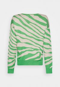 Pull à rayures zèbre vertes et crème, à manches longues, en tissu tricoté, col rond et ourlet côtelé. Vue de dos montrant le motif audacieux.