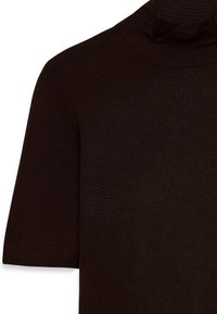 Ruskea korkeakauluksinen paita sileästä neulosmateriaalista. Ominaisuuksia ovat istuva malli, lyhyet hihat ja korkea, ribbed kaulus.