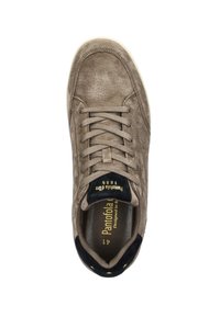 Beige Wildleder-Sneaker mit flachen Schnürsenkeln, dunklen textile Akzenten und einer gepolsterten Innensohle. Mit goldener Markenkennzeichnung auf der Zunge und der Ferse.