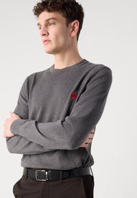 Szary sweter z długim rękawem i okrągłym dekoltem, z małą czerwoną łatką z logo po lewej stronie klatki piersiowej. Model ma na sobie czarny pasek i ciemne spodnie.