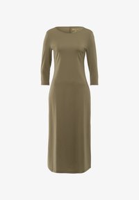 Nevybráno, dusky green