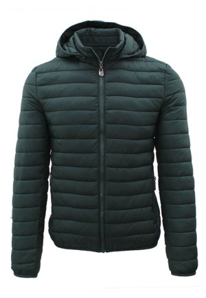 PIUMINO 100 GRAMMI - Giacca invernale - verde