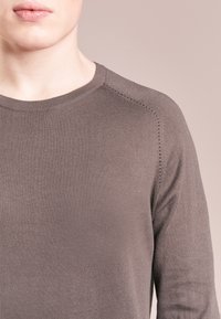 Maglione marrone lavorato a maglia con scollo rotondo, caratterizzato da delicate cuciture lungo le spalle, una trama morbida e maniche lunghe.