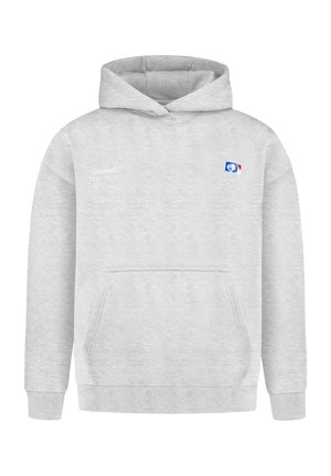 Lichtgrijze hoodie met voorzak in kangarustijl, kleine witte tekst op de linkerborst en blauw-rood-wit logo op de rechterborst.