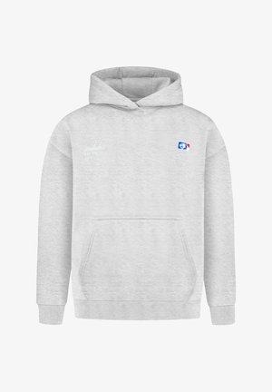 Lichtgrijze hoodie met voorzak in kangarustijl, kleine witte tekst op de linkerborst en blauw-rood-wit logo op de rechterborst.