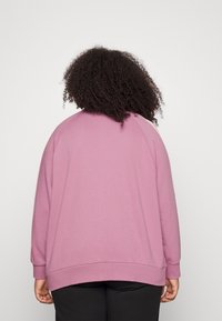 Sudadera rosa con diseño de manga raglán, confeccionada en material suave. Presenta un dobladillo inferior redondeado y puños acanalados, vista desde atrás.