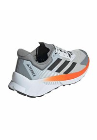 adidas Performance TERREX SOULSTRIDE FLOW - Zapatillas de trail running - dshgry carbon seimor