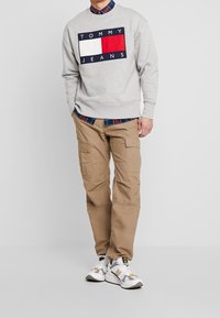 Tommy Jeans Felpa - light grey