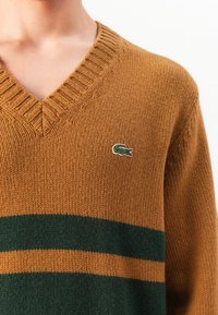 Close-up of person wearing brown knitted V-neck sweater with green horizontal stripes and a small green crocodile logo on the chest.