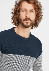 Maglione lavorato a maglia blu scuro e bianco con un motivo testurizzato, collezione rotonda e maniche raglan. Il materiale sembra morbido e accogliente.