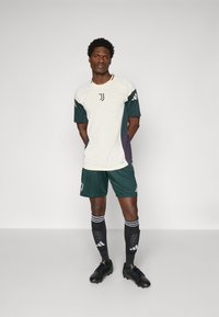 adidas Performance JUVENTUS TRAINING SHORTS - Klubové oblečenie - shadow green