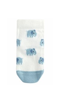 Calzini bianchi alla caviglia con un motivo ripetuto di maiali blu, con una cima solida azzurro chiaro e una texture a coste in tutto il calzino.