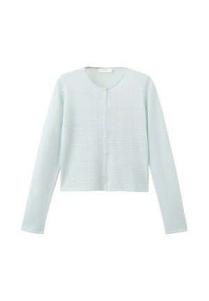 Cardigan azzurro chiaro a maniche lunghe con bottoni, scollo rotondo e orlo leggermente corto.