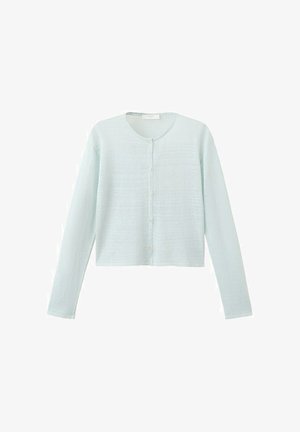 Light blue long-sleeve button-up cardigan with a round neckline and a slightly cropped hem.