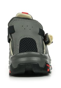 Salomon TECHAMPHIBIAN - Hiking shoes - pewter moth fiery red