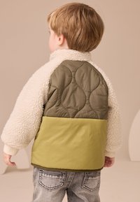 Next REGULAR FIT - COLOURBLOCK - Manteau d'hiver - green borg nylon