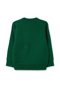 Grüner Strickpullover mit Rundhalsausschnitt, langen Ärmeln und gerippten Bündchen. Glatte Textur und einfaches Design ohne Muster oder Akzente.