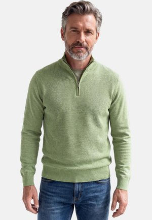 Middle-aged man with gray hair and beard wearing a light green textured quarter-zip sweater and blue jeans on a white background.
