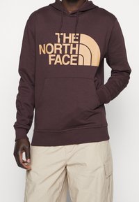 Sudadera con capucha marrón con un gran logo beige "THE NORTH FACE", bolsillo tipo canguro, puños y dobladillo acanalados.