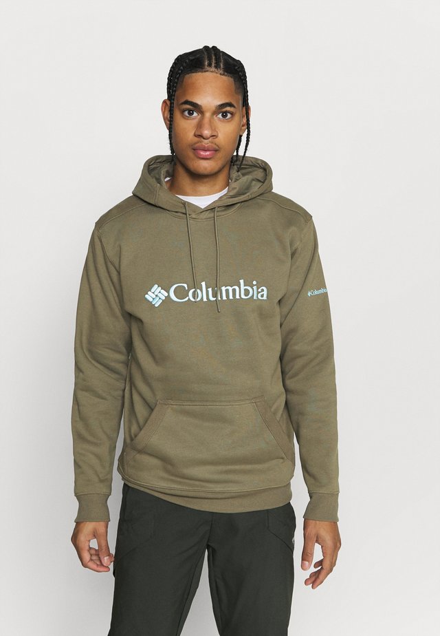 BASIC LOGO HOODIE - Luvtröja - stone green/sky blue