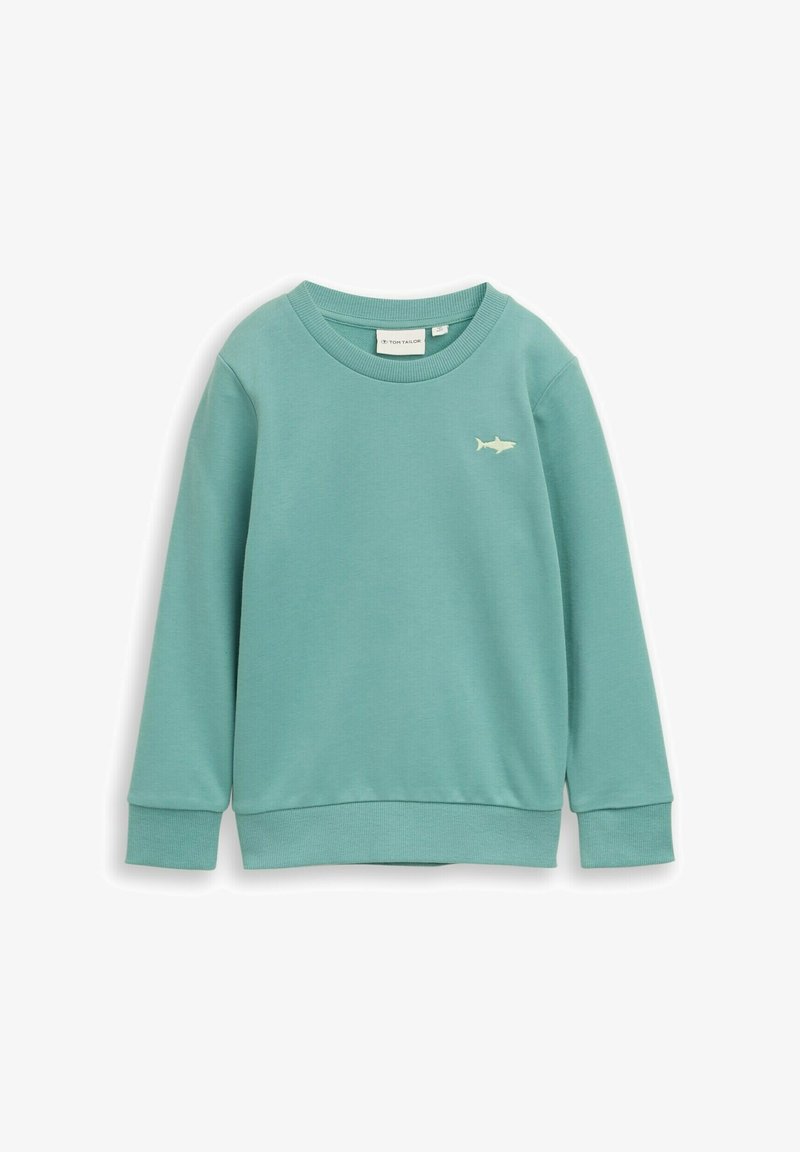 Felpa verde menta realizzata in tessuto morbido, con collo rotondo, maniche lunghe e un piccolo logo a forma di squalo ricamato sul petto.