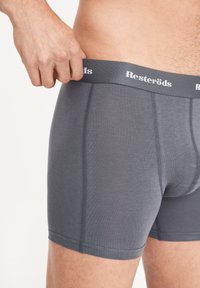Bóxer gris fabricado en un material suave con un ajuste ceñido, que cuenta con una cinturilla elástica con el nombre de la marca "Resteröds" destacado.