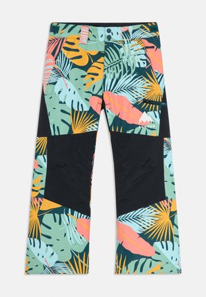 SKYLAR UNISEX - Snowboardbukser - multi coloured