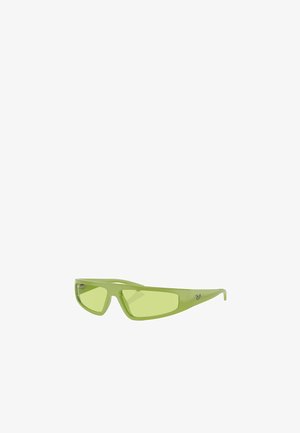 Ray-Ban IZAZ - Occhiali da sole - green
