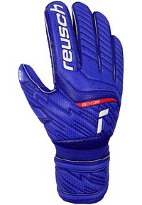Guanto da portiere blu con grip testurizzato, dettagli protettivi per le dita e polsino elastico. Caratterizzato da branding bianco e una vestibilità di supporto.
