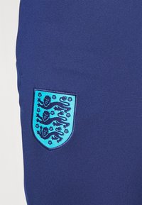Nike Performance Voetbalshirt - Land - blue