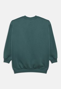 Žalias džemperis su apvalia iškirpte, ilgomis rankovėmis, ribinėmis rankogaliais ir apačia. Lygus, minkštas audinys, be matomų raštų ar papuošimų.