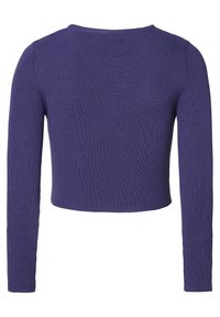 Paarse geribbelde gebreide lange mouw cropped trui met een ronde halslijn, van de achterkant weergegeven.