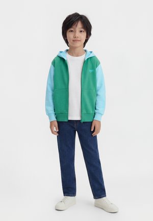 Fant, ki stoji, oblečen v zeleno in svetlo modro kapuco z zadrgo, belo majico, modre kavbojke in bele superge, na enostavni belem ozadju.