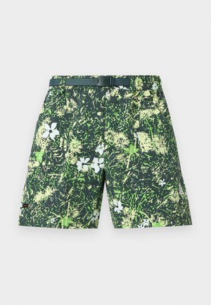 Nike ACG, DOLOMITI  - Short - black spruce/mineral slate/life lime/summit white