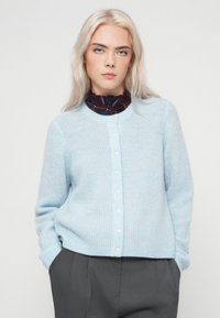 Młoda kobieta z długimi platynowymi blond włosami, ubrana w jasno niebieski kardigan z guzikami na ciemnej bluzce z falbanami i szarych spodniach.