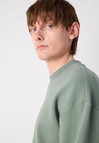 Sudadera de cuello redondo en verde claro, hecha de una tela suave. Presenta un corte holgado con hombros caídos y una textura suave.