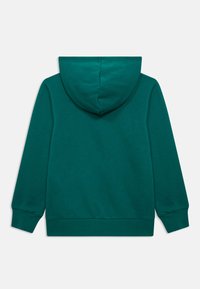 Mėlynos žalios spalvos džemperis su gobtuvu, pagamintas iš minkštos, lygios tekstūros audinio. Turi kišenę ant priekio (kengūros kišenę), ripsuotą apačią ir rankogalius bei gobtuvą su raišteliu, leidžiančiu jį reguliuoti. Galinis vaizdas.