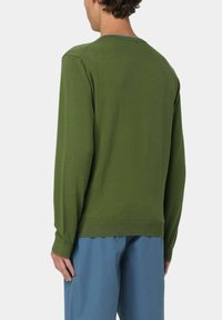 Maglione verde a maniche lunghe con scollatura rotonda, polsini e orlo a coste. Texture morbida; mostrato da dietro abbinato a pantaloni azzurri chiari.