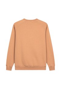 Katoenen sweatshirt in licht perzik met een ronde halslijn en raglanmouwen. Ribgebreide manchetten en zoom, gladde textuur, minimalistisch ontwerp.