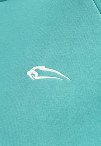 Turqouise sweatshirt gemaakt van zachte stof, met een wit geborduurd logo. De textuur is soepel met een aansluitend ontwerp.