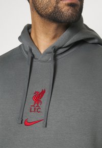 Sweat à capuche gris avec blason Liverpool rouge brodé et logo Nike, doté d'un cordon de serrage et d'une texture douce. Idéal pour un usage décontracté.