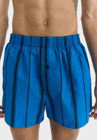 Blauwe zwembroek met zwarte verticale strepen, elastische tailleband en knoopsluiting aan de voorkant. Gemaakt van lichtgewicht stof.