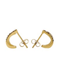 Złote kolczyki o zakrzywionym kształcie, z rzędem małych kamieni wzdłuż górnej krawędzi. Posiadają zapięcie na sztyft zapewniające bezpieczne mocowanie.