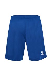 Blå idrottsshorts i slätt tyg, med elastisk midja och en liten vit logotyp på nedre högra sidan.