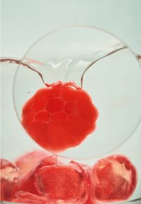 Czerwona malina częściowo zanurzona w przezroczystym płynie, otoczona przez przezroczyste kostki lodu. Wodospady tworzą fale.