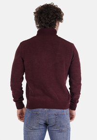Maglione a maglia color marsala con collo alto, maniche aderenti e orlo a coste. Indossato con jeans in denim blu, visto da dietro.
