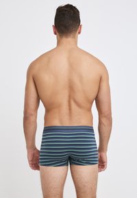 Men's boxer shorts in dark blue with green and light blue stripes. Features a mid-rise elastic waistband and a snug fit.